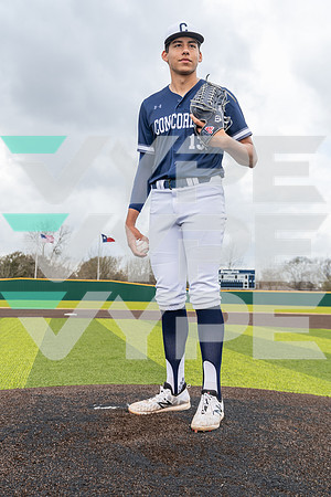 CONCORDIA_BSBL_Alex Petrovic_80-(BCC)