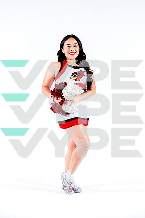 DVHS-50-(VELA)