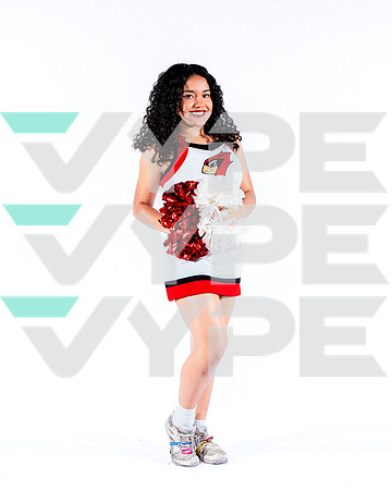DVHS-53-(VELA)