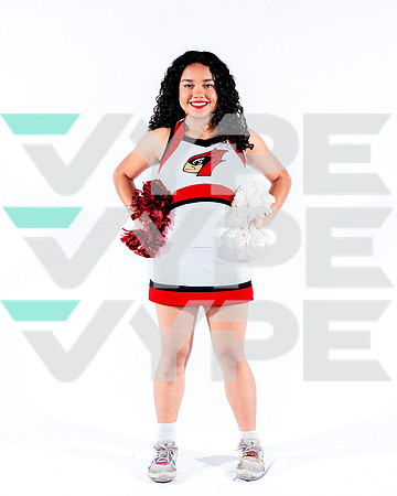 DVHS-54-(VELA)