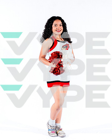 DVHS-55-(VELA)