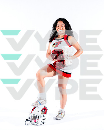 DVHS-56-(VELA)