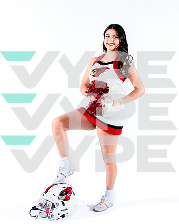 DVHS-61-(VELA)