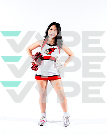 DVHS-68-(VELA)