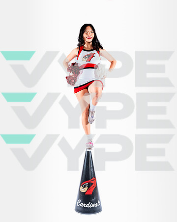 DVHS-70-(VELA)