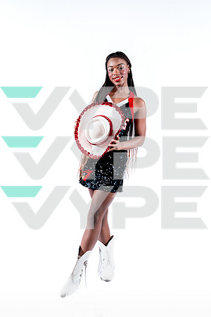DVHS-1-(VELA)
