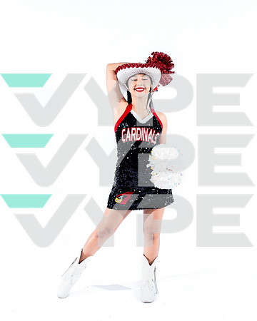 DVHS-12-(VELA)