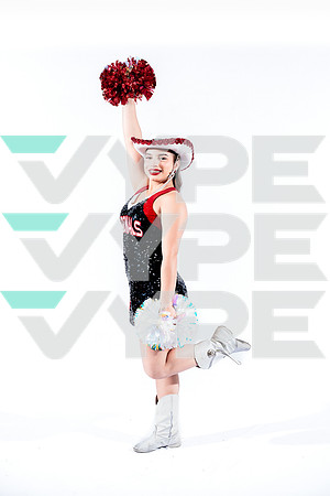 DVHS-15-(VELA)
