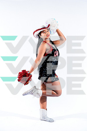 DVHS-27-(VELA)