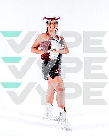 DVHS-31-(VELA)
