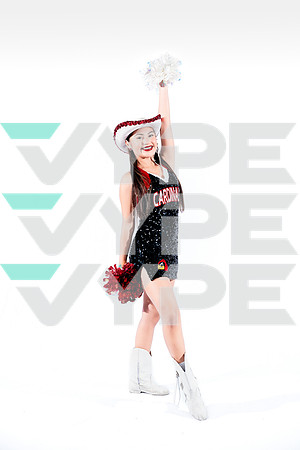 DVHS-8-(VELA)