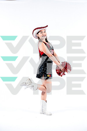 DVHS-6-(VELA)