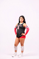 DV_VOLLEYBALL-9549-(HINSON)