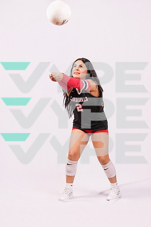 DV_VOLLEYBALL-9557-(HINSON)