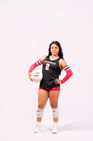 DV_VOLLEYBALL-9555-(HINSON)
