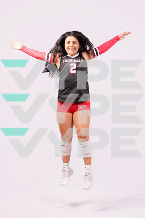 DV_VOLLEYBALL-9561-(HINSON)