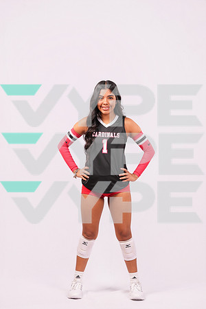 DV_VOLLEYBALL-9590-(HINSON)
