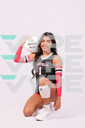 DV_VOLLEYBALL-9593-(HINSON)