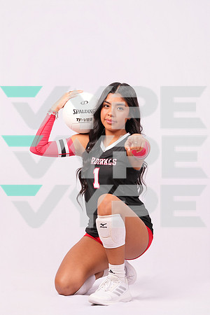 DV_VOLLEYBALL-9596-(HINSON)