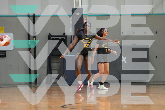 HOC04516