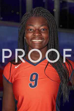 vypevolleyballpreview2013_034