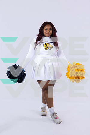 WESTBURY_CHEER_0024-(BROWN)