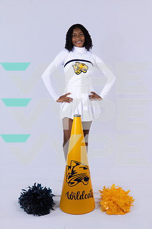 WESTBURY_CHEER_0062-(BROWN)