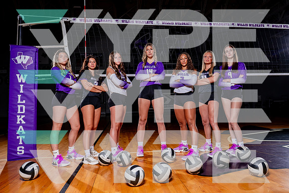 WILLIS_VB-(COLLIER)-4
