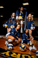 Volleyball