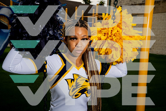 WESTBURY_CHRISTIAN_CHEER_07578-(BCC)