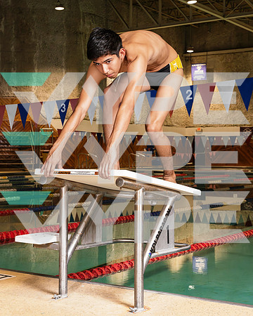 HASTINGS_SWIM_178-(POWELL)