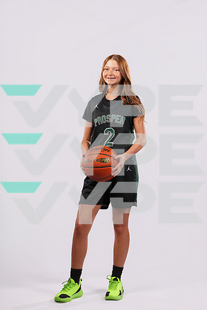 PROSPER_GBB-6040-(HINSON)
