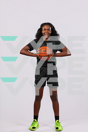 PROSPER_GBB-6060-(HINSON)