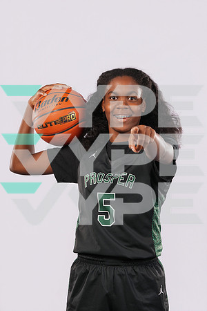 PROSPER_GBB-6058-(HINSON)