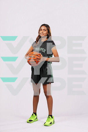 PROSPER_GBB-6066-(HINSON)