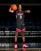 PEARLAND_BB-332-(POWELL)