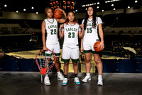 CY_FALLS_GBB-234-(BROWN)
