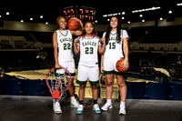 CY_FALLS_GBB-235-(BROWN)