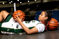CY_FALLS_GBB-237-(BROWN)