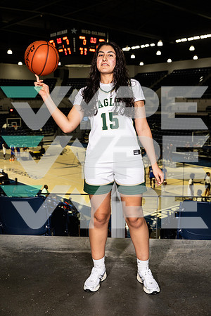 CY_FALLS_GBB-256-(BROWN)