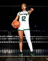 IOWA_COLONY_GBB-589-(POWELL)