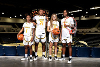NIMITZ_GBB-0322-(BROWN)