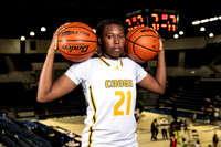 NIMITZ_GBB-0326-(BROWN)