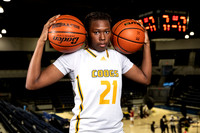 NIMITZ_GBB-0329-(BROWN)