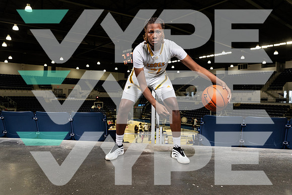 NIMITZ_GBB-0330-(BROWN)