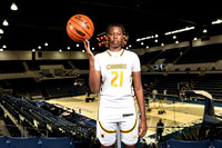 NIMITZ_GBB-0335-(BROWN)