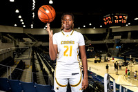 NIMITZ_GBB-0336-(BROWN)