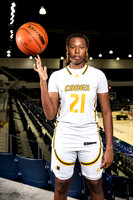 NIMITZ_GBB-0337-(BROWN)