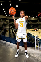 NIMITZ_GBB-0338-(BROWN)