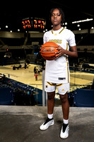 NIMITZ_GBB-0342-(BROWN)